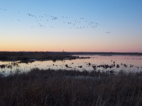 Laguna de la Nava